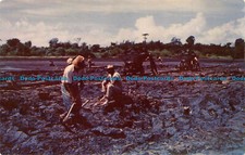 R069147 Trinidad. B. W. I. Home of Angostura Aromatic Bitters. Mike Roberts