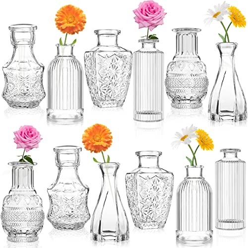 Glass bud vases - glass,