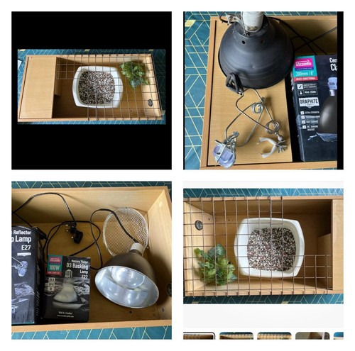 Tabletop tortoise enclosure - tabletop,