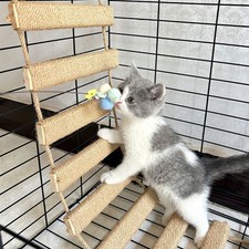 40in cat climbing ladder - 40in, &