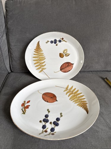 Royal worcester wild harvest - worcester,