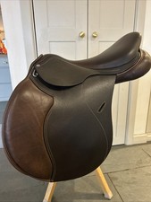 Brand New Cavaletti Jump