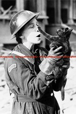 F007138 LAAS female member and kitten London 1940 WW2