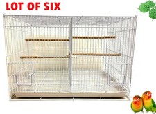 Lot of 6 Aviary Canary Budgie
