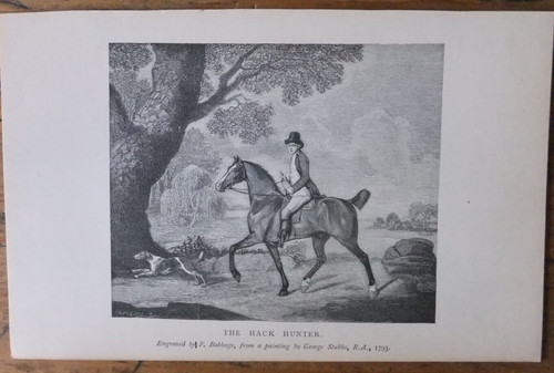 Antique print george stubbs - antique,