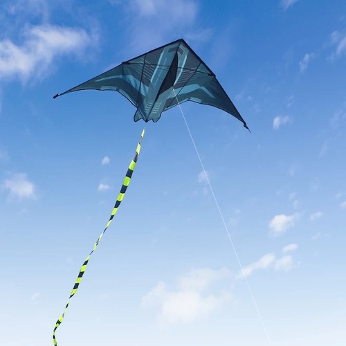 Large delta kite adults - 2m,