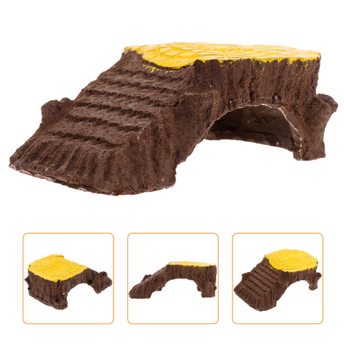 Tortoise climbing ramp - tortoise, reptile