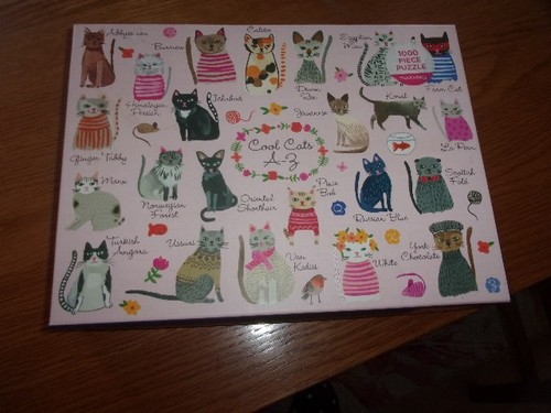 Cool cats by - cats, mudpuppy