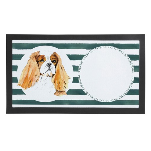 Cavalier king charles spaniel - cavalier,