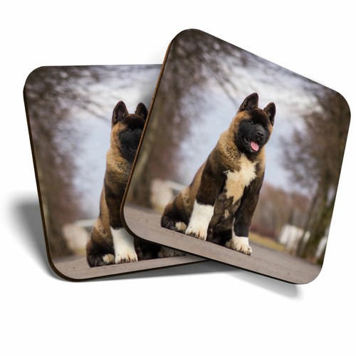 Coasters large american - coasters,