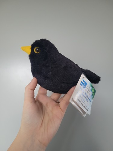 International blackbird - k&m,