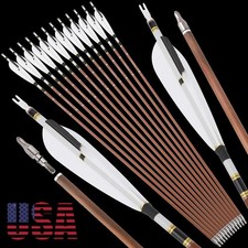 12X 31" Pure Carbon Arrows