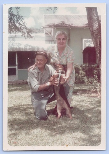 1960s sweet older - sweet, couple