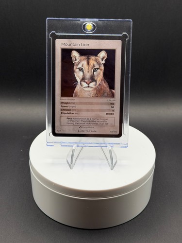 Mountain lion life - mountain, tcg