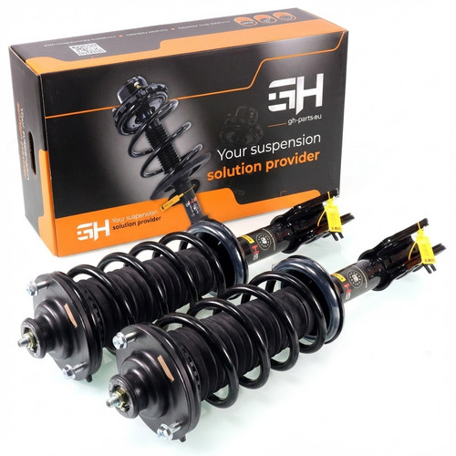 Complete struts assembly - 2x,