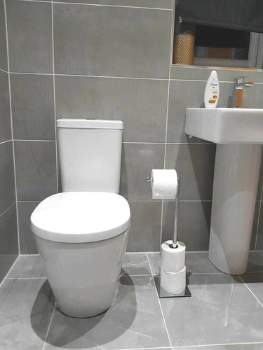 Chrome toilet roll holder - toilet,