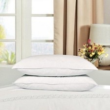 Duck Feather & Down Pillows