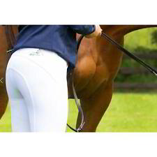 Eco Rider Bamboo Competition