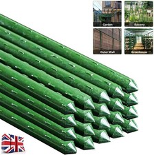 20-100 Green Plant Stakes