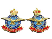 2 pcs of RAF VETERAN enamel 3D