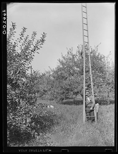 Photo camden county new jersey - photo:camden,