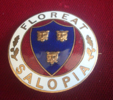 ENAMEL BADGE SHREWSBURY SHROPSHIRE MAY FLOURISH  - 30mm
