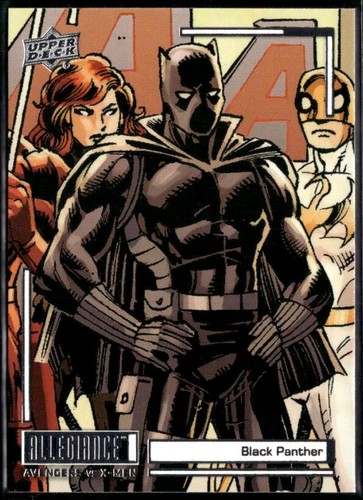 Black panther 2023 - panther, upper