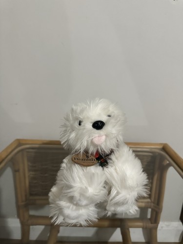 Small teddy puppy - small,