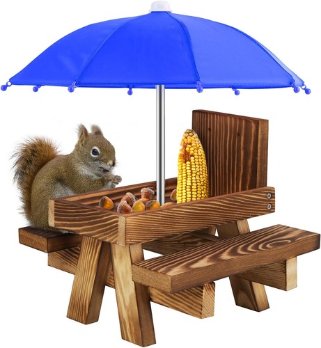 Squirrel feeder wooden - squirrel, feeder,