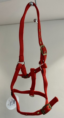 Aerborn brand new - large, foal