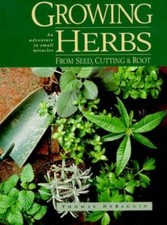 Growing Herbs from Seed