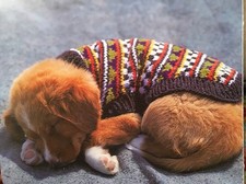 Dog Coat / Jumper knitting pattern Colourful fair isle Fully Laminated