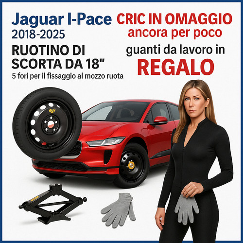 Jaguar pace space - 18", saver