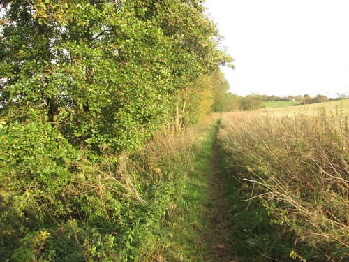 Photo 6x4 footpath - photo,