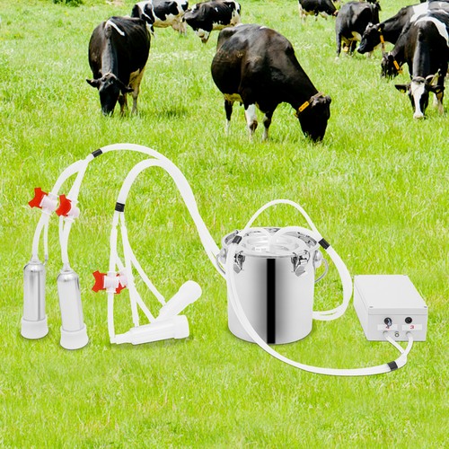 Electric pulsation cow - cow, milking