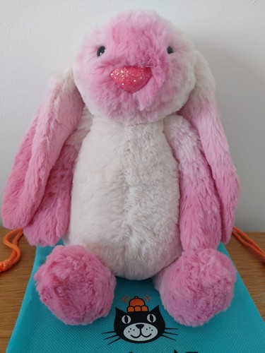 Jellycat custom medium bunny