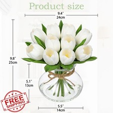DILATATA White Tulips