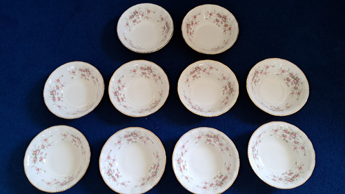 Paragon victoriana rose 5 - 10,