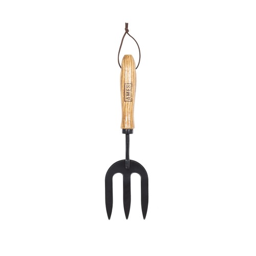 Ames carbon steel - carbon, fork