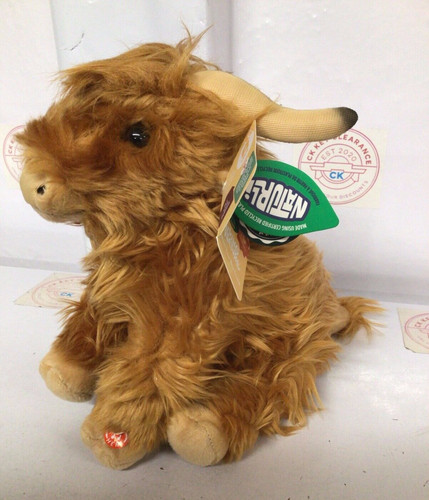 Living nature highland cow - nature,