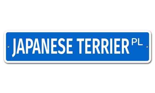6376 japanese terrier - 6376, ss