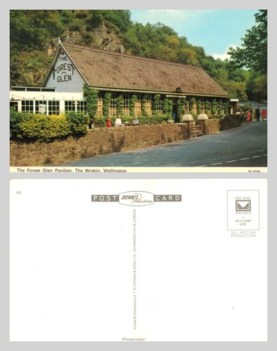 Vintage postcard the forest - vintage,