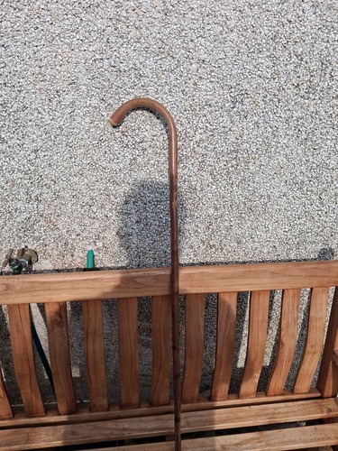 Walking stick with - walking,