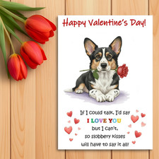 Cardigan welsh corgi - cardigan,