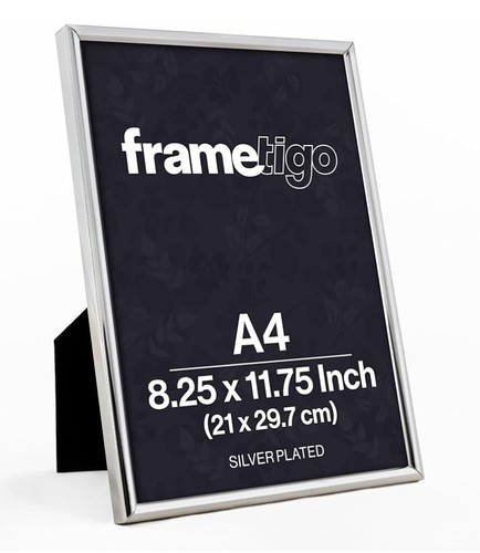 Silver plated thin edge photo - plated,