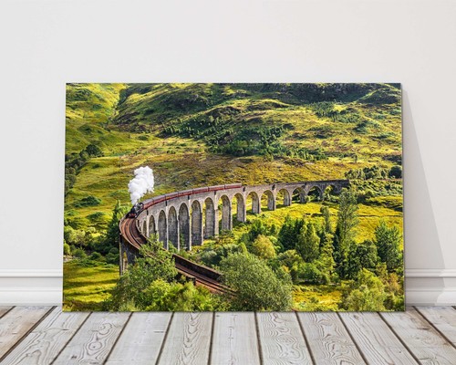 Glenfinnan viaduct steam train - steam,