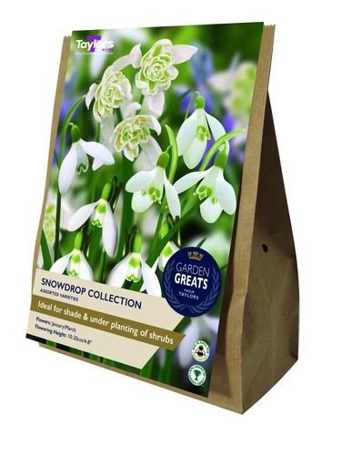 Bulb collections 4 - bulb,