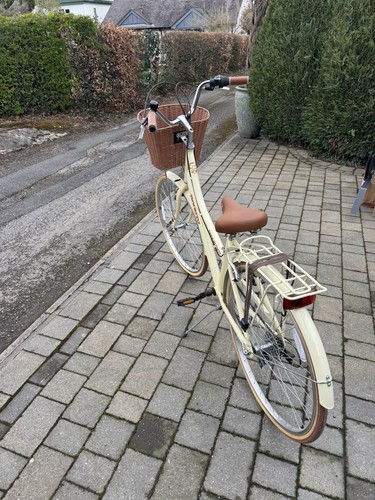 Ladies shopping bike with - bike,