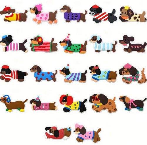 New dachshund dog - dog, shoe