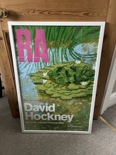 David hockney the arrival of - david,